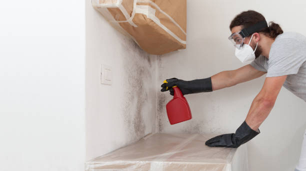 Professional Bathroom Mold Removal technician working in Riverdale, NJ