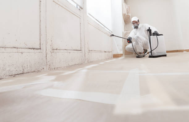 24/7 Emergency Bathroom Mold Removal experts in Riverdale, NJ